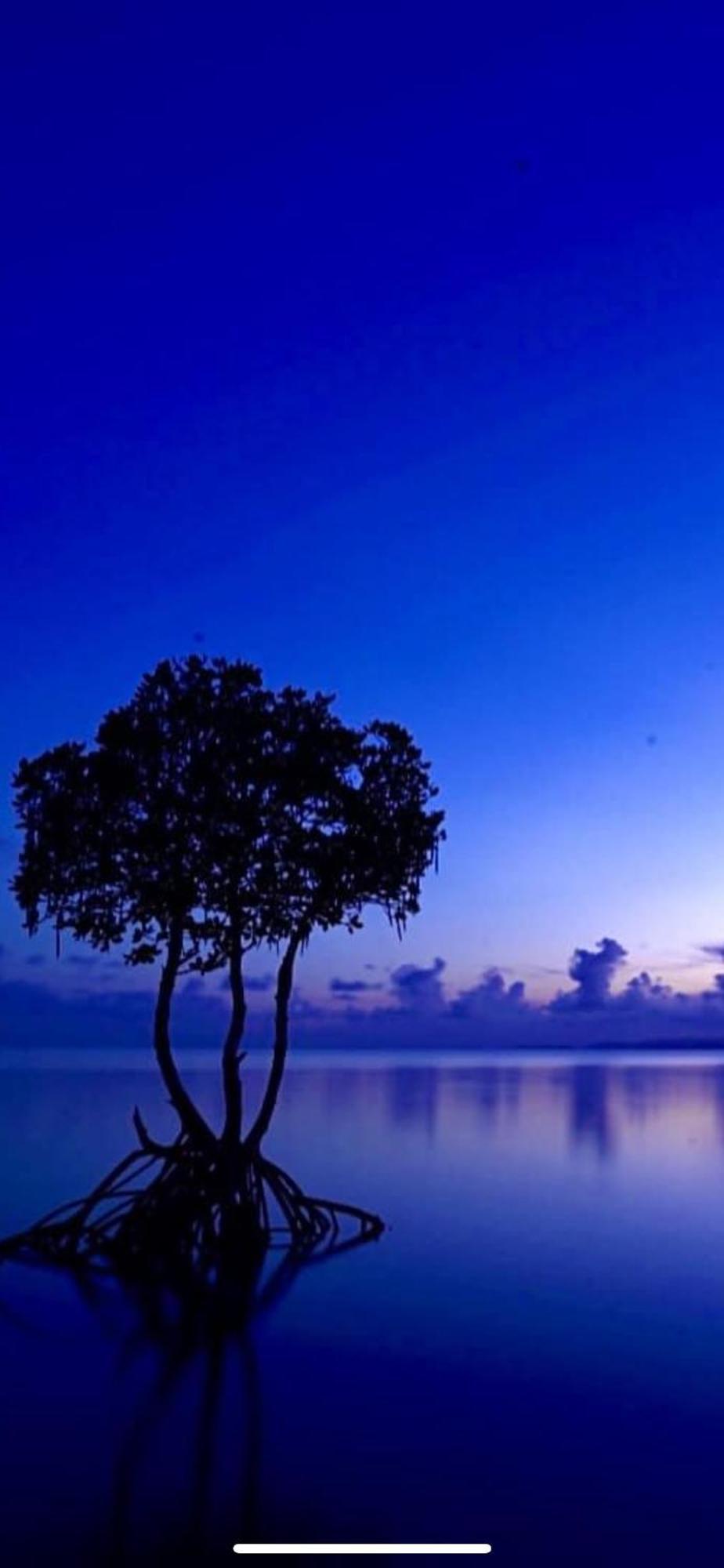 ほんだけ Villa Ishigaki  Bagian luar foto